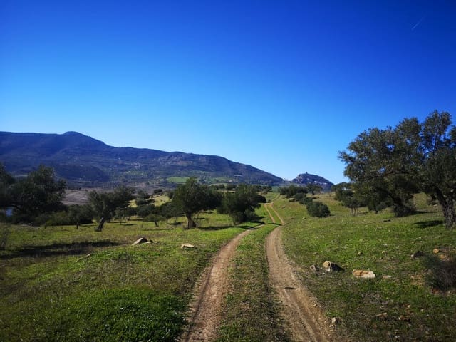 Finca/Landehus til salg i El Gastor - € 845.000 (Ref: 7459477)