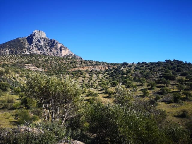 Finca/Landehus til salg i El Gastor - € 845.000 (Ref: 7459477)