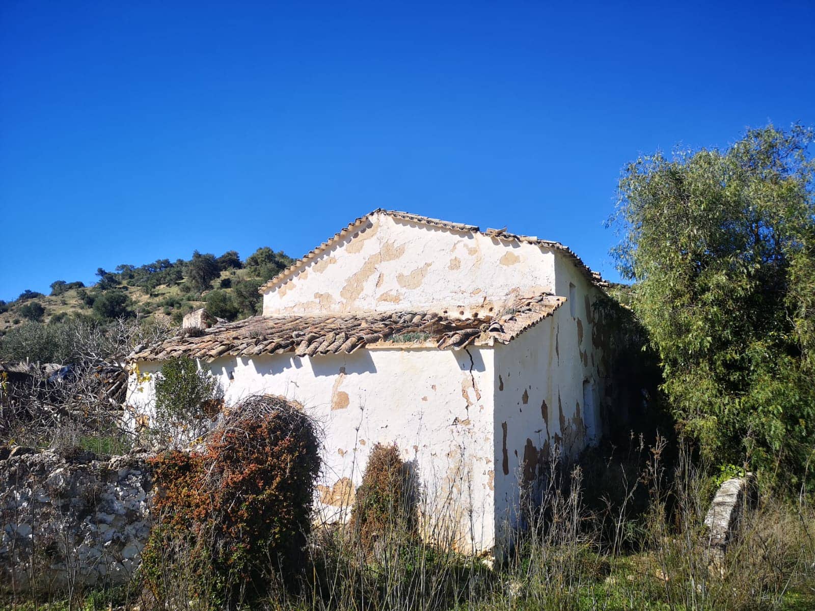 Finca/Landehus til salg i El Gastor - € 845.000 (Ref: 7459477)