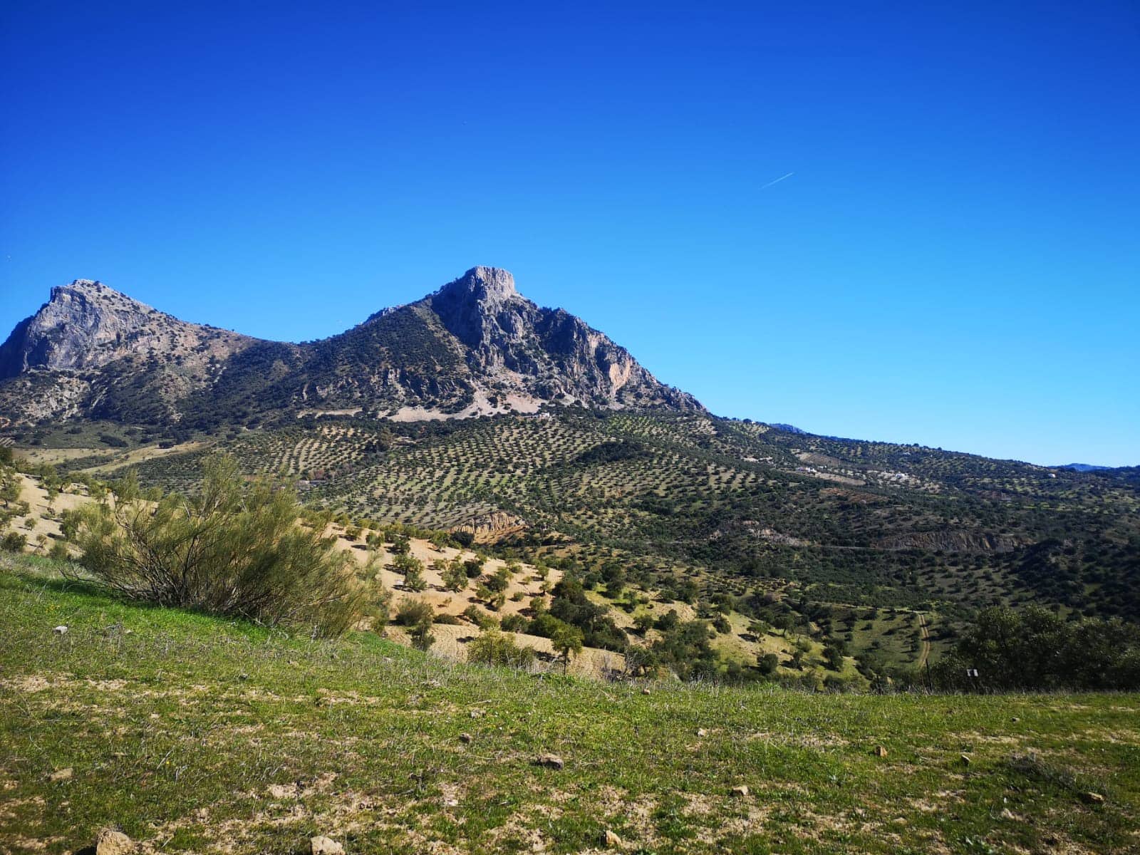 Finca/Landehus til salg i El Gastor - € 845.000 (Ref: 7459477)