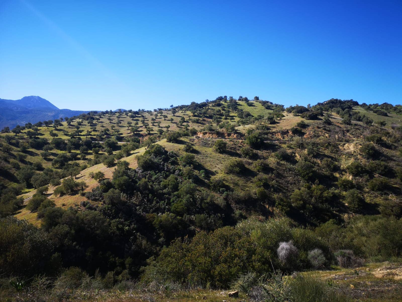 Finca/Landehus til salg i El Gastor - € 845.000 (Ref: 7459477)