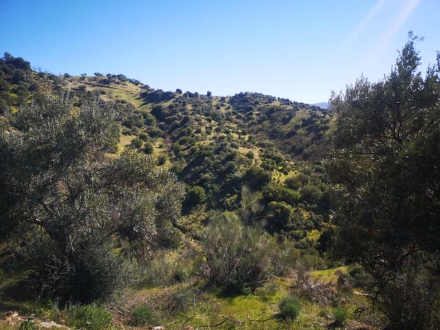 Finca/Landehus til salg i El Gastor - € 845.000 (Ref: 7459477)