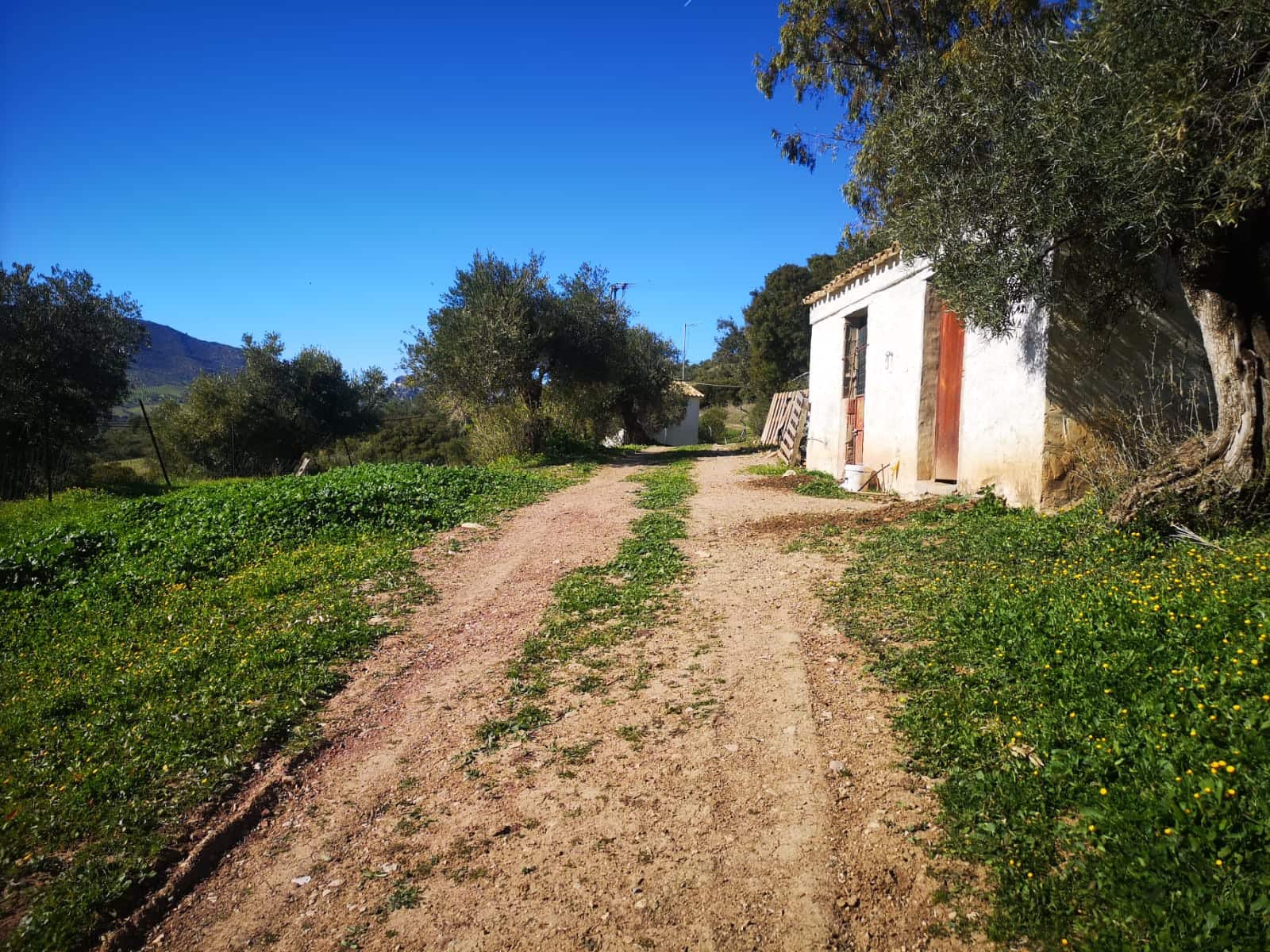 Finca/Landehus til salg i El Gastor - € 845.000 (Ref: 7459477)