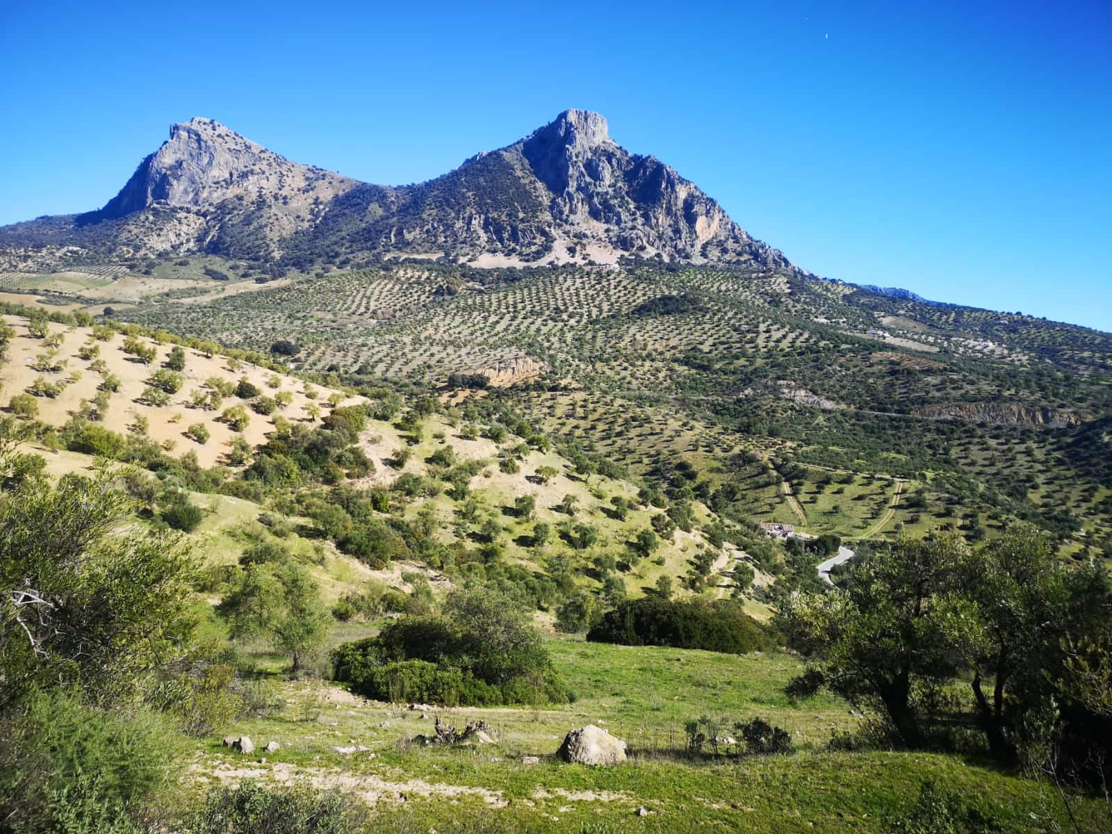 Finca/Landehus til salg i El Gastor - € 845.000 (Ref: 7459477)