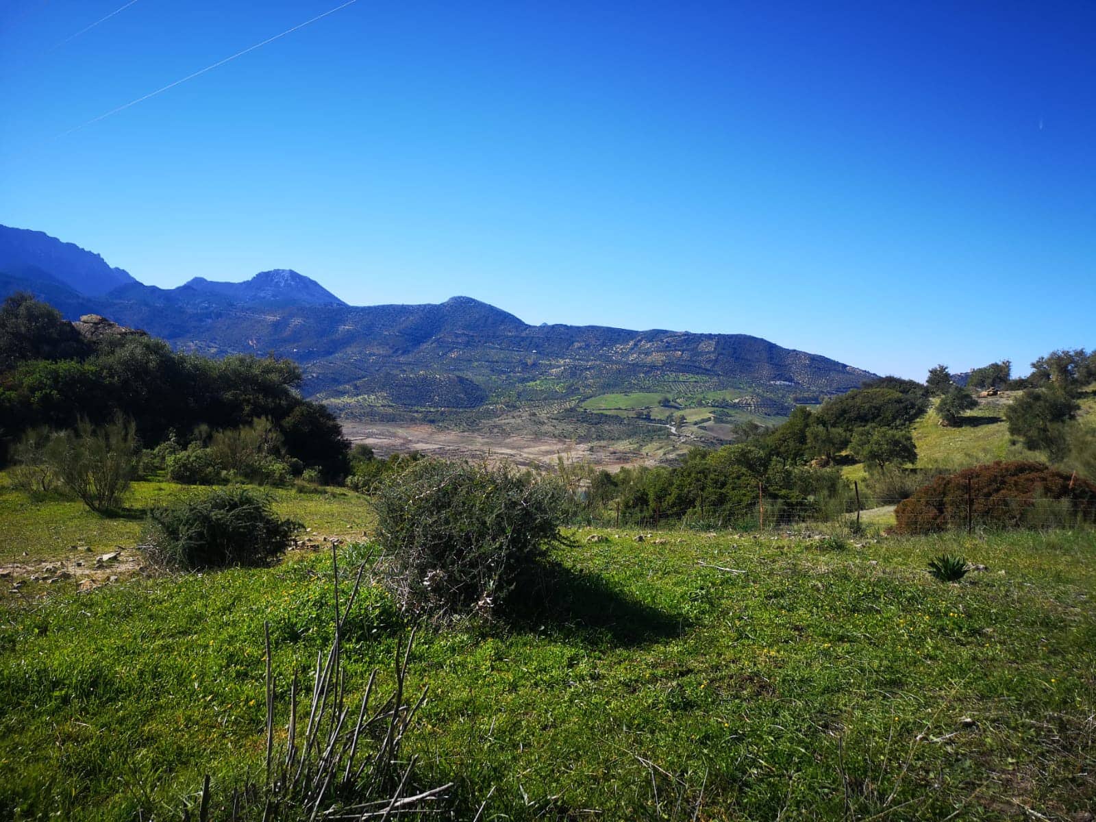 Finca/Landehus til salg i El Gastor - € 845.000 (Ref: 7459477)