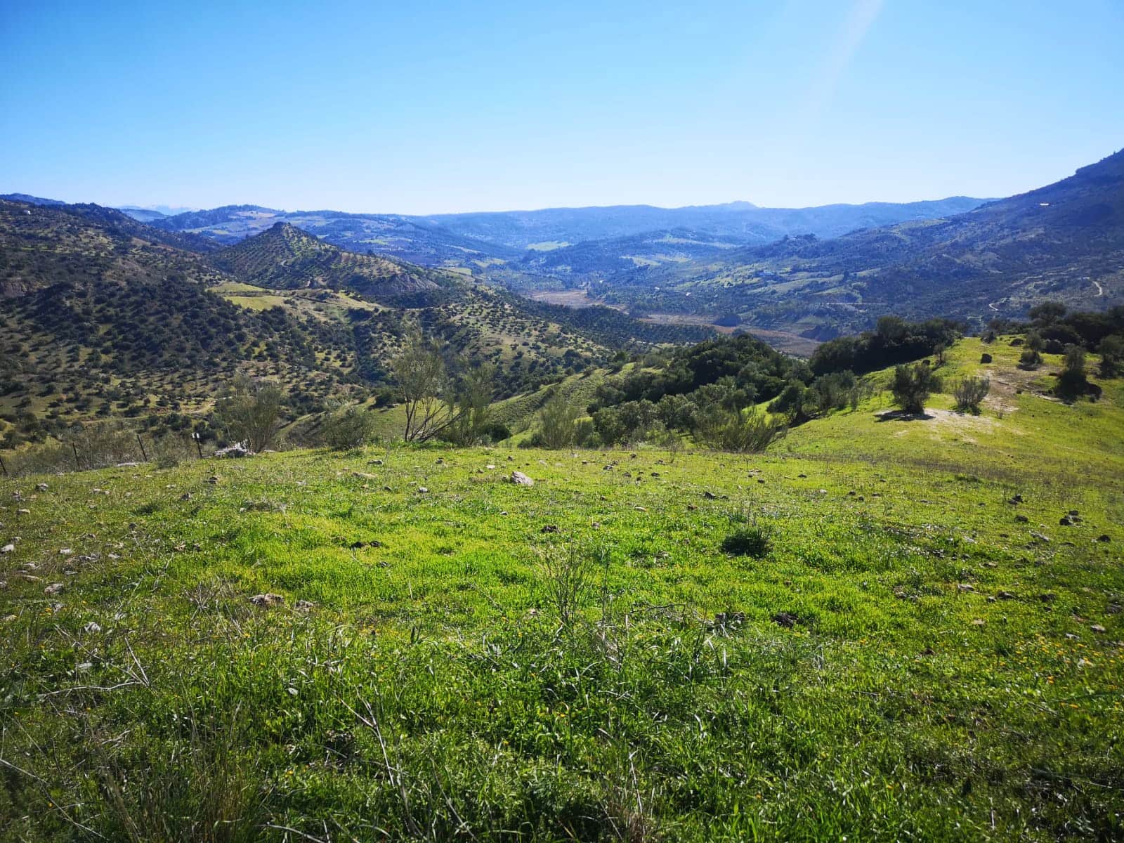 Finca/Landehus til salg i El Gastor - € 845.000 (Ref: 7459477)