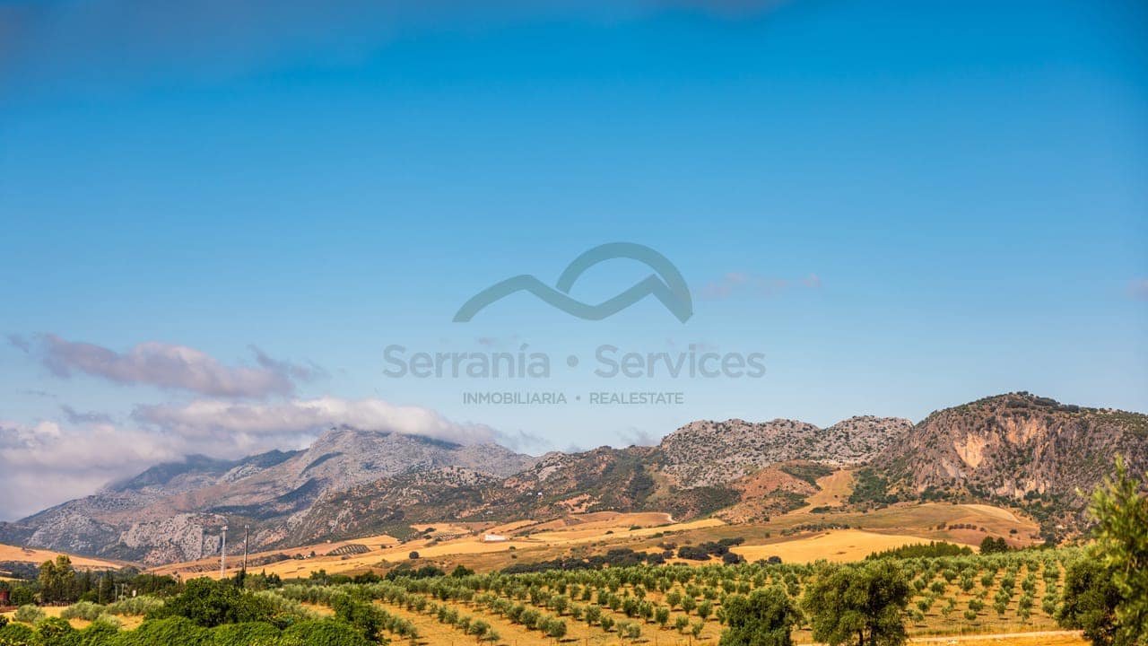 8 bedroom Finca/Country House for sale in Ronda with pool - € 550,000 (Ref: 7886730)