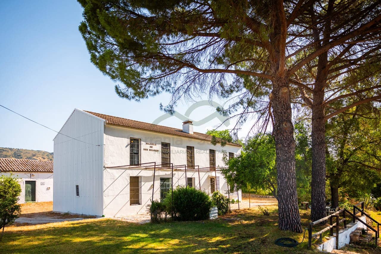 8 bedroom Finca/Country House for sale in Ronda with pool - € 550,000 (Ref: 7886730)