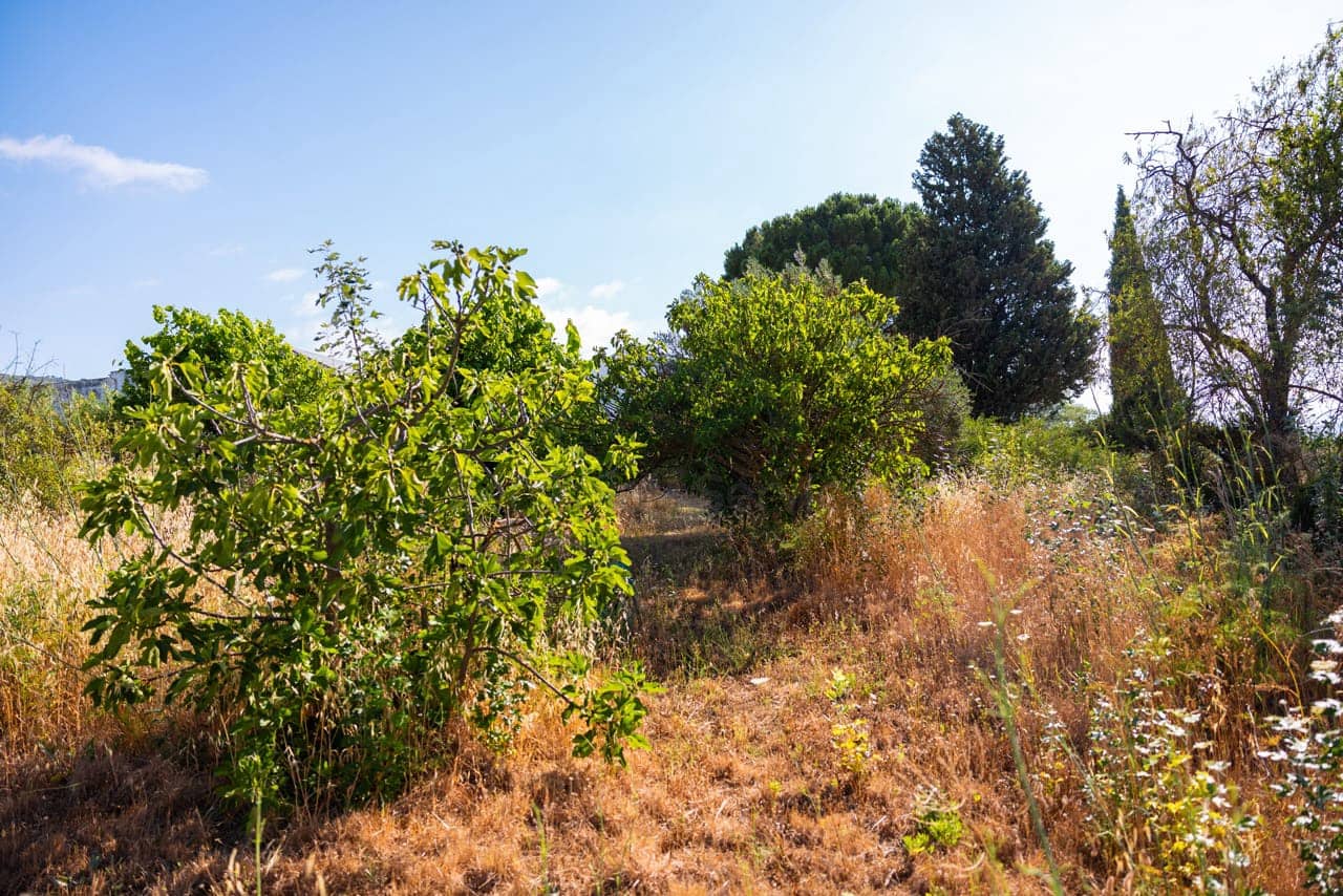 8 bedroom Finca/Country House for sale in Ronda with pool - € 550,000 (Ref: 7886730)