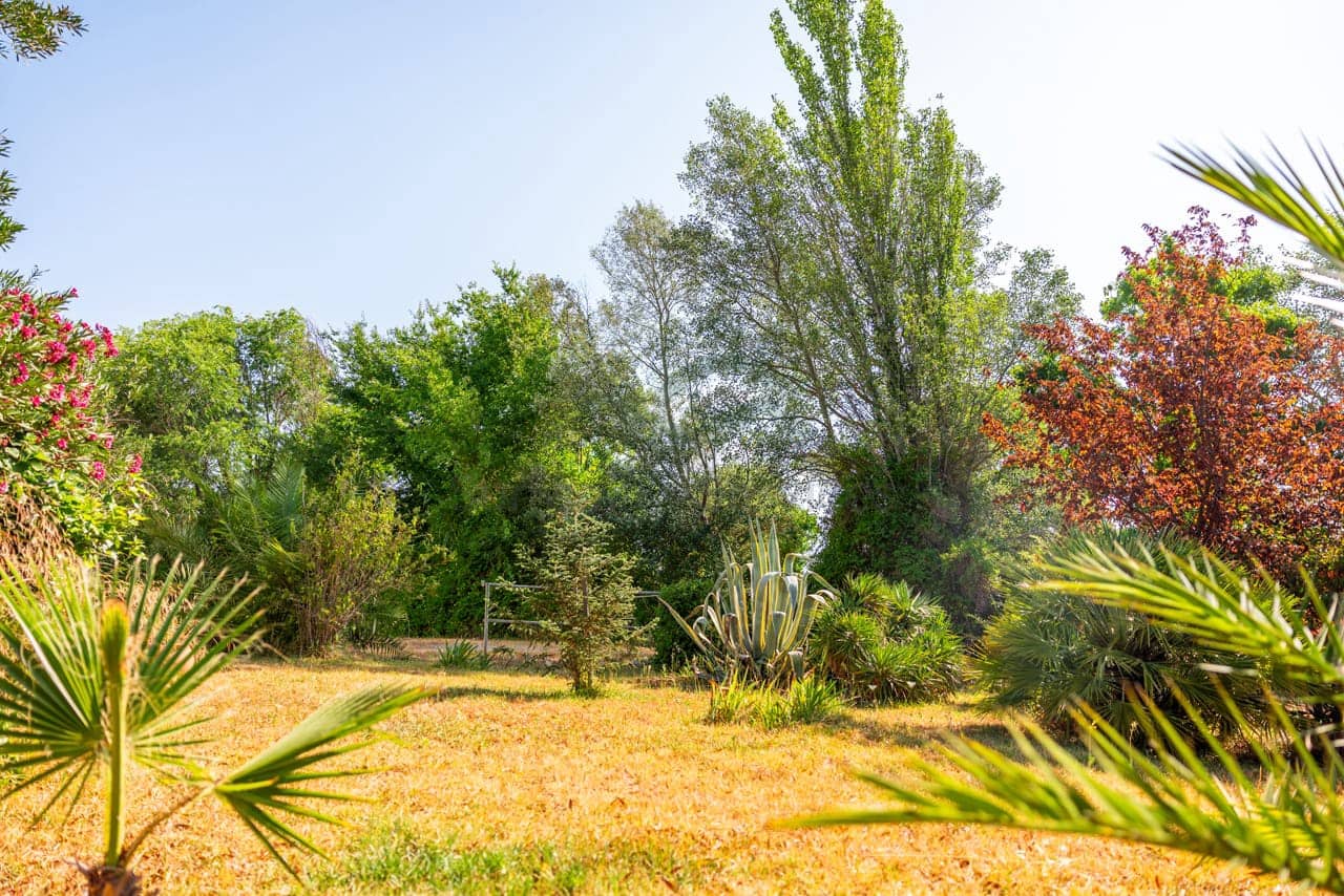 8 bedroom Finca/Country House for sale in Ronda with pool - € 550,000 (Ref: 7886730)