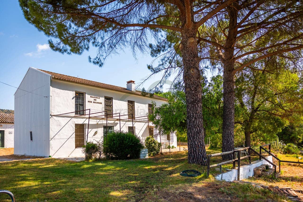 8 bedroom Finca/Country House for sale in Ronda with pool - € 550,000 (Ref: 7886730)