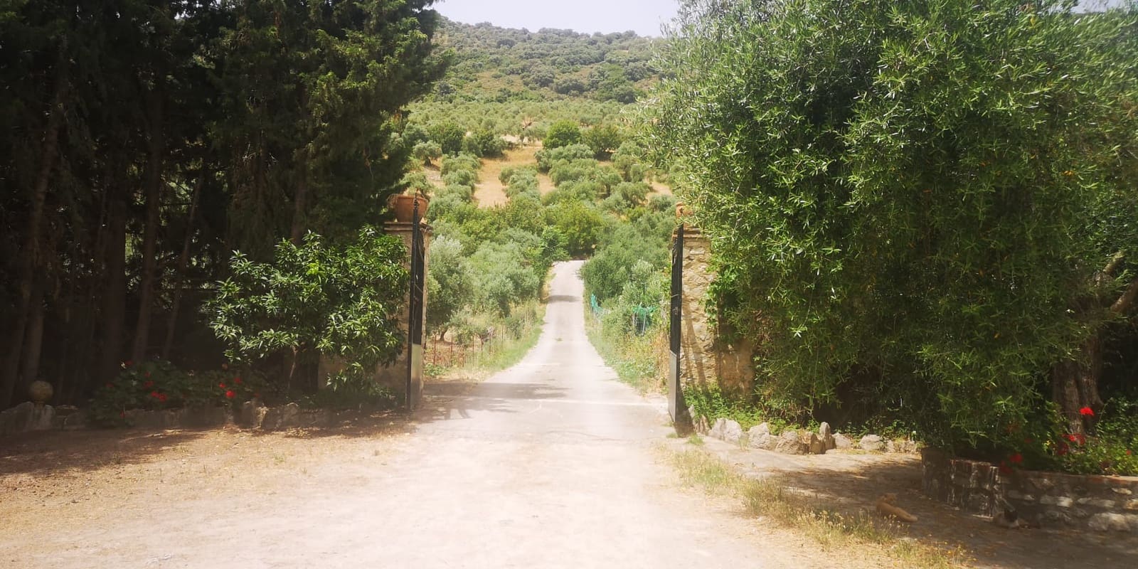 3 soveværelse Finca/Landehus til salg i Zahara de la Sierra med swimmingpool - € 525.000 (Ref: 8398051)