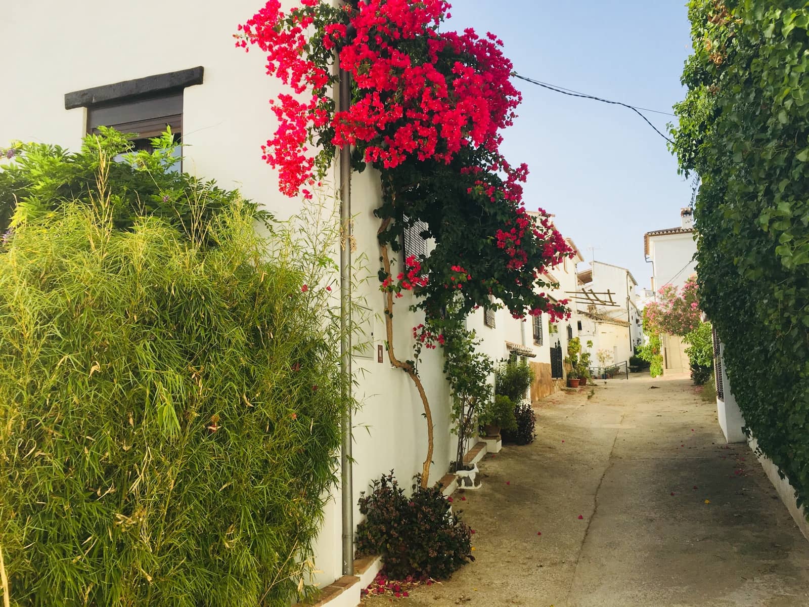 4 soverom Finca/Herregård til salgs i Benalauria - € 425 000 (Ref: 8404268)