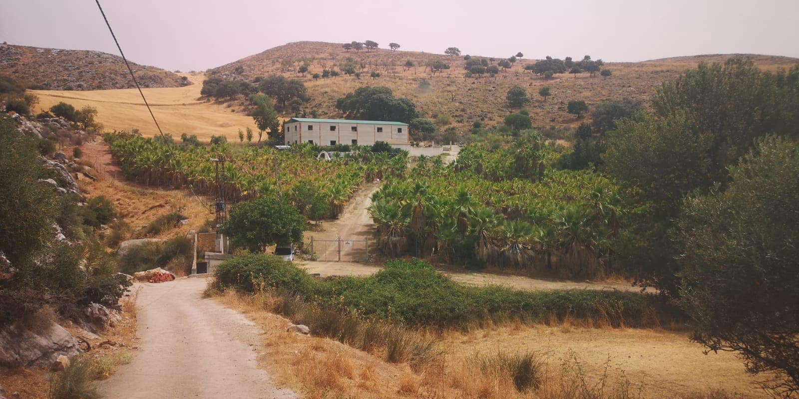 Grunde uden byggetilladelser til salg i Canete la Real - € 500.000 (Ref: 8470669)