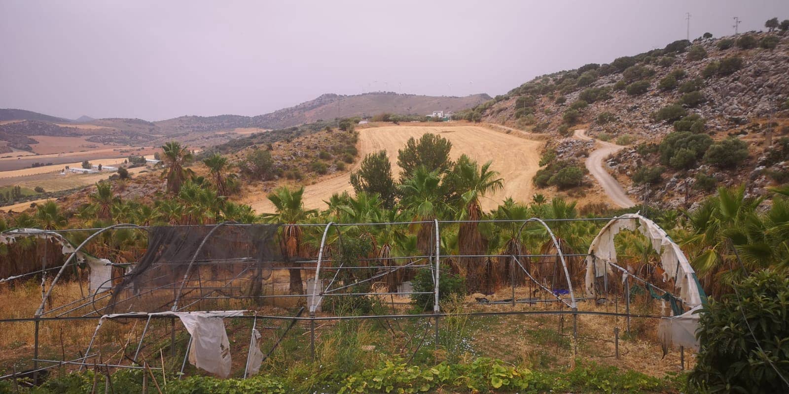 Grunde uden byggetilladelser til salg i Canete la Real - € 500.000 (Ref: 8470669)