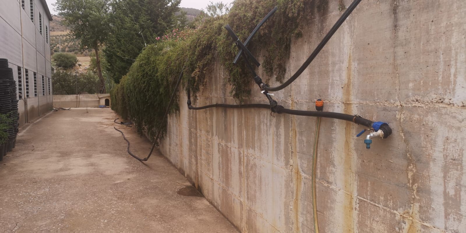 Grunde uden byggetilladelser til salg i Canete la Real - € 500.000 (Ref: 8470669)