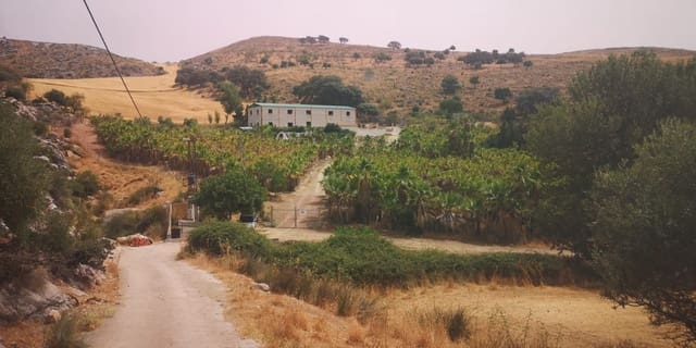 Ubebygd land til salgs i Cañete la Real - € 500 000 (Ref: 8470669)