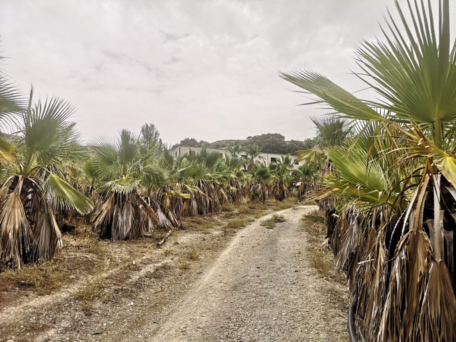 Grunde uden byggetilladelser til salg i Canete la Real - € 500.000 (Ref: 8470669)