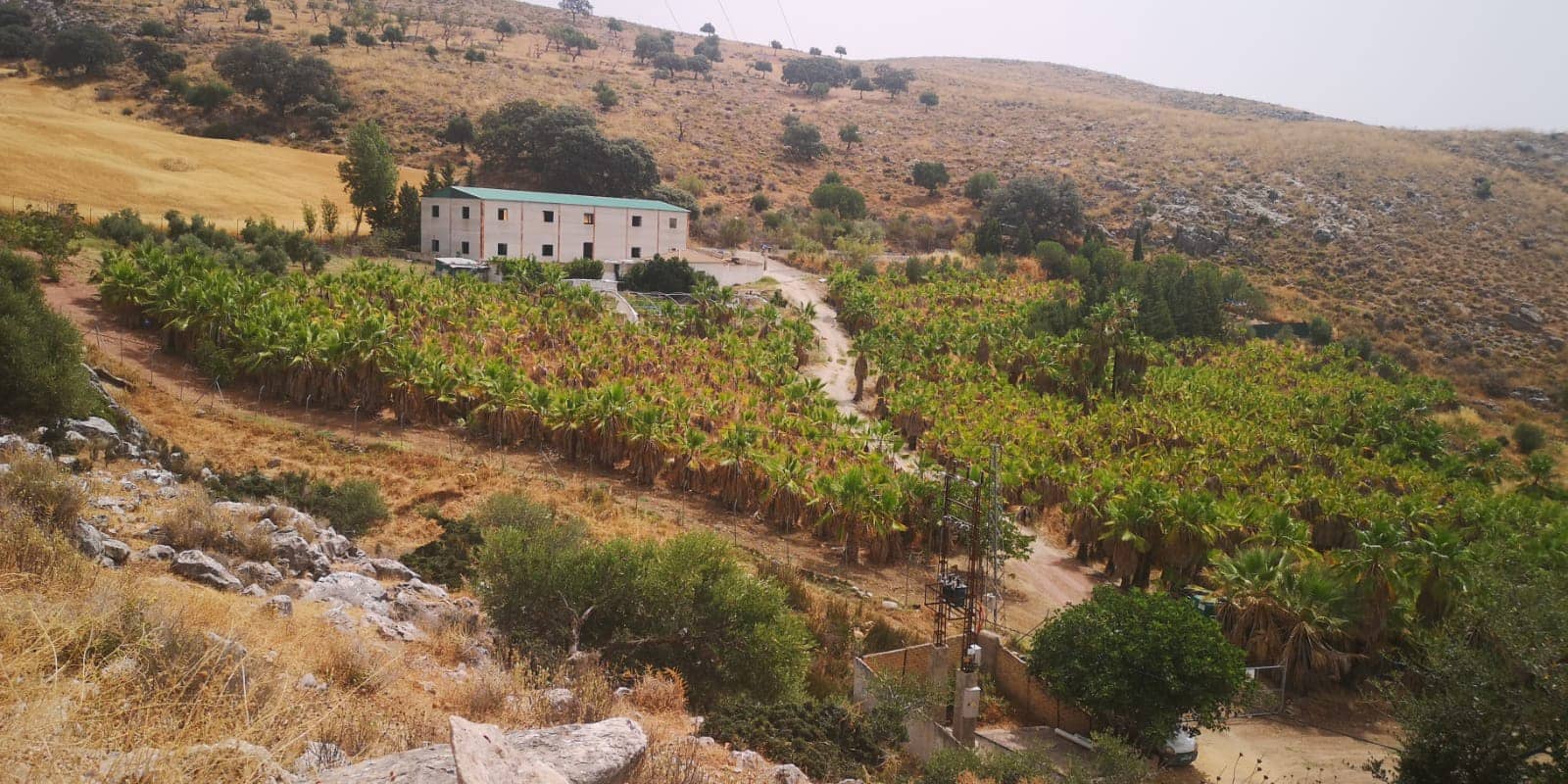 Grunde uden byggetilladelser til salg i Canete la Real - € 500.000 (Ref: 8470669)