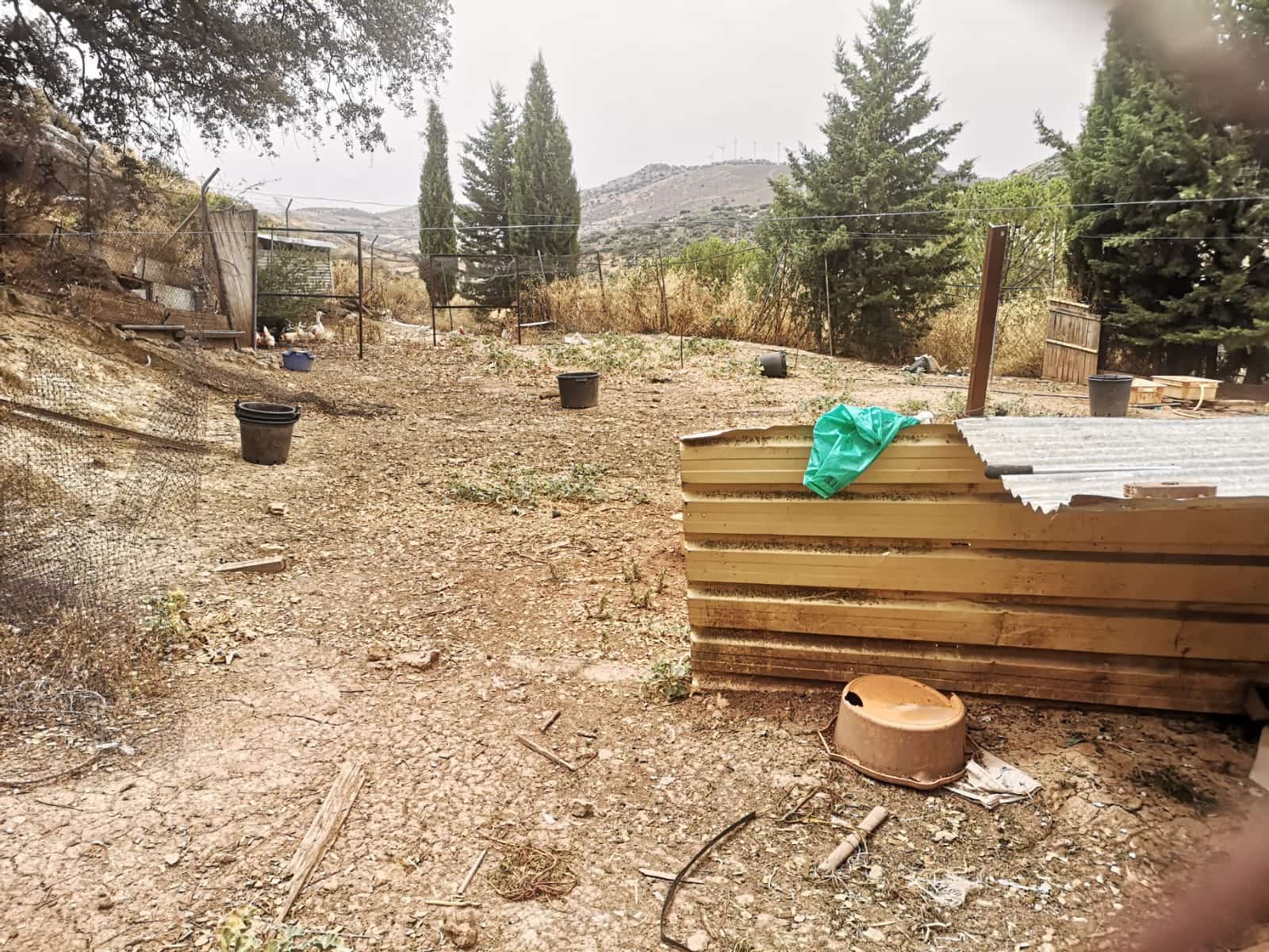 Grunde uden byggetilladelser til salg i Canete la Real - € 500.000 (Ref: 8470669)