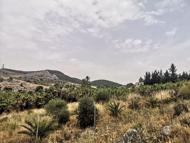 Ubebygd land til salgs i Cañete la Real - € 500 000 (Ref: 8470669)