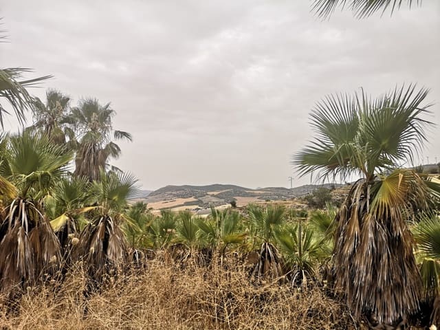 Ubebygd land til salgs i Cañete la Real - € 500 000 (Ref: 8470669)
