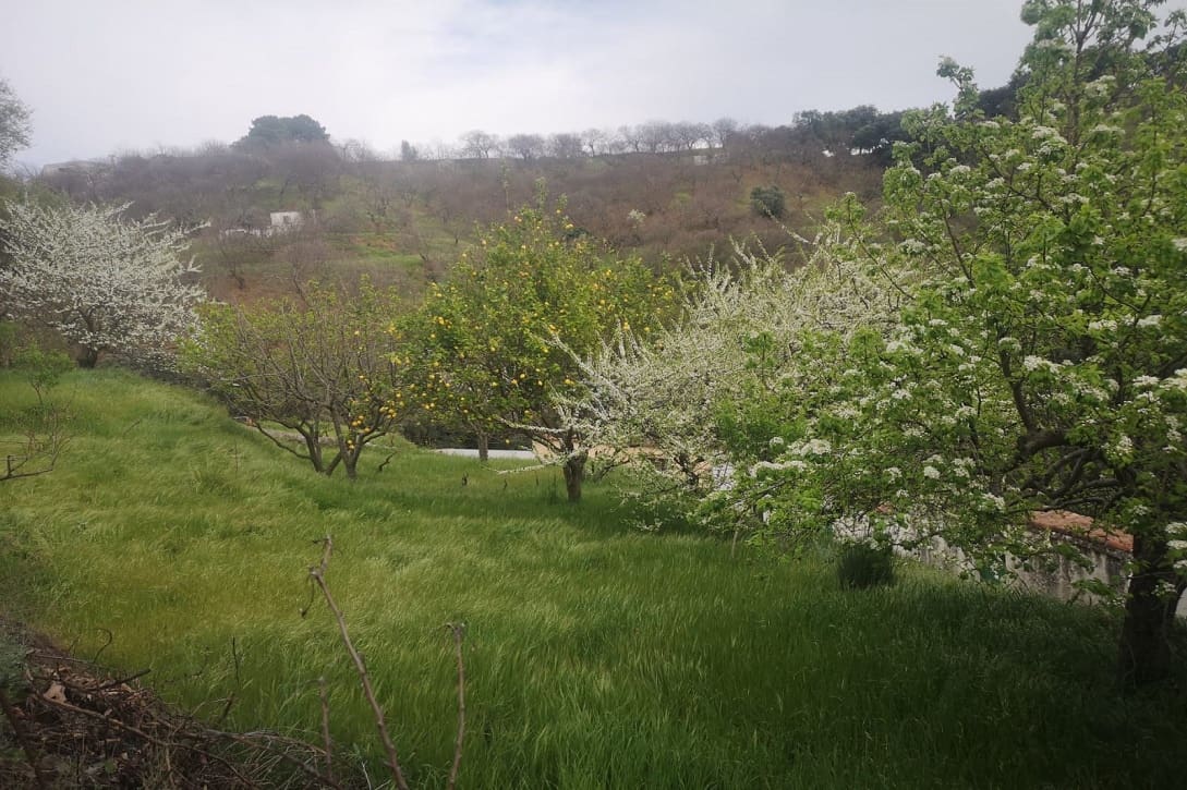 5 bedroom Finca/Country House for sale in Farajan with pool - € 290,000 (Ref: 8489401)