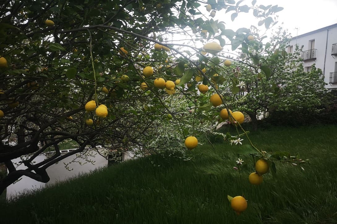 5 bedroom Finca/Country House for sale in Farajan with pool - € 290,000 (Ref: 8489401)