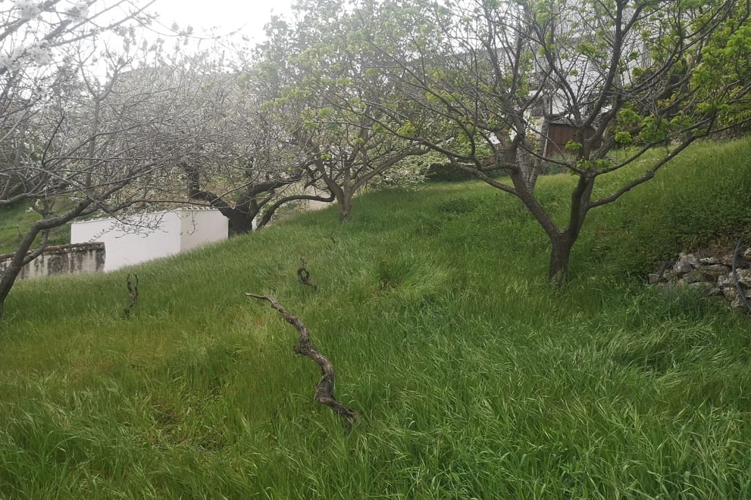 5 bedroom Finca/Country House for sale in Farajan with pool - € 290,000 (Ref: 8489401)