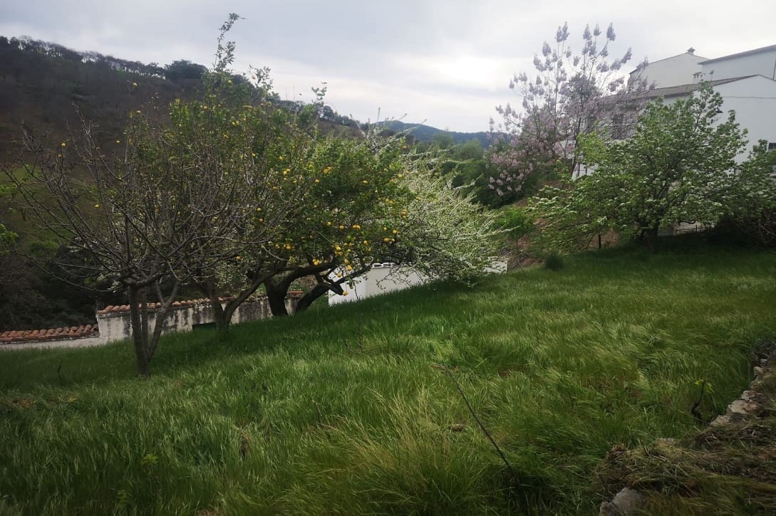 5 bedroom Finca/Country House for sale in Farajan with pool - € 290,000 (Ref: 8489401)