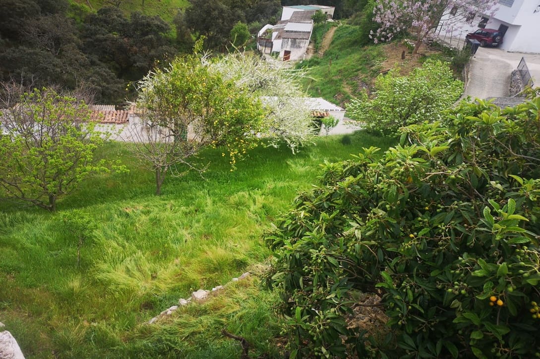 5 bedroom Finca/Country House for sale in Farajan with pool - € 290,000 (Ref: 8489401)