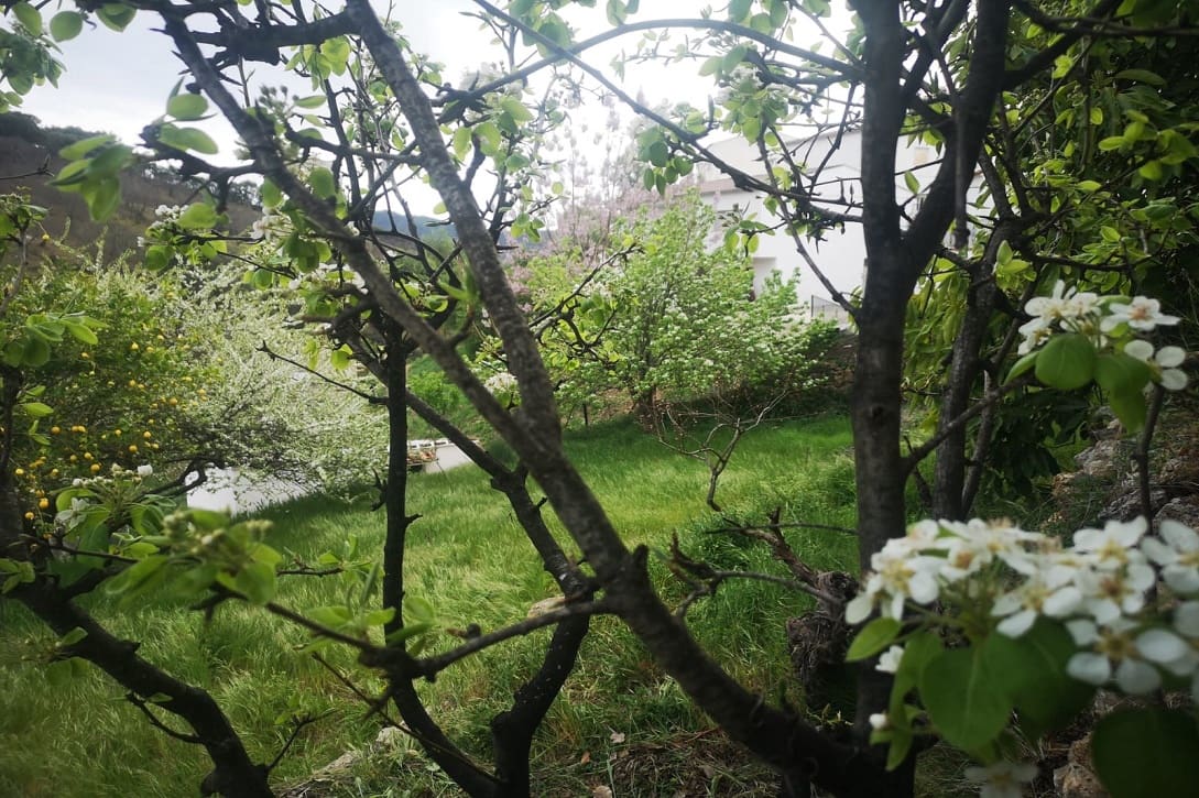 5 bedroom Finca/Country House for sale in Farajan with pool - € 290,000 (Ref: 8489401)