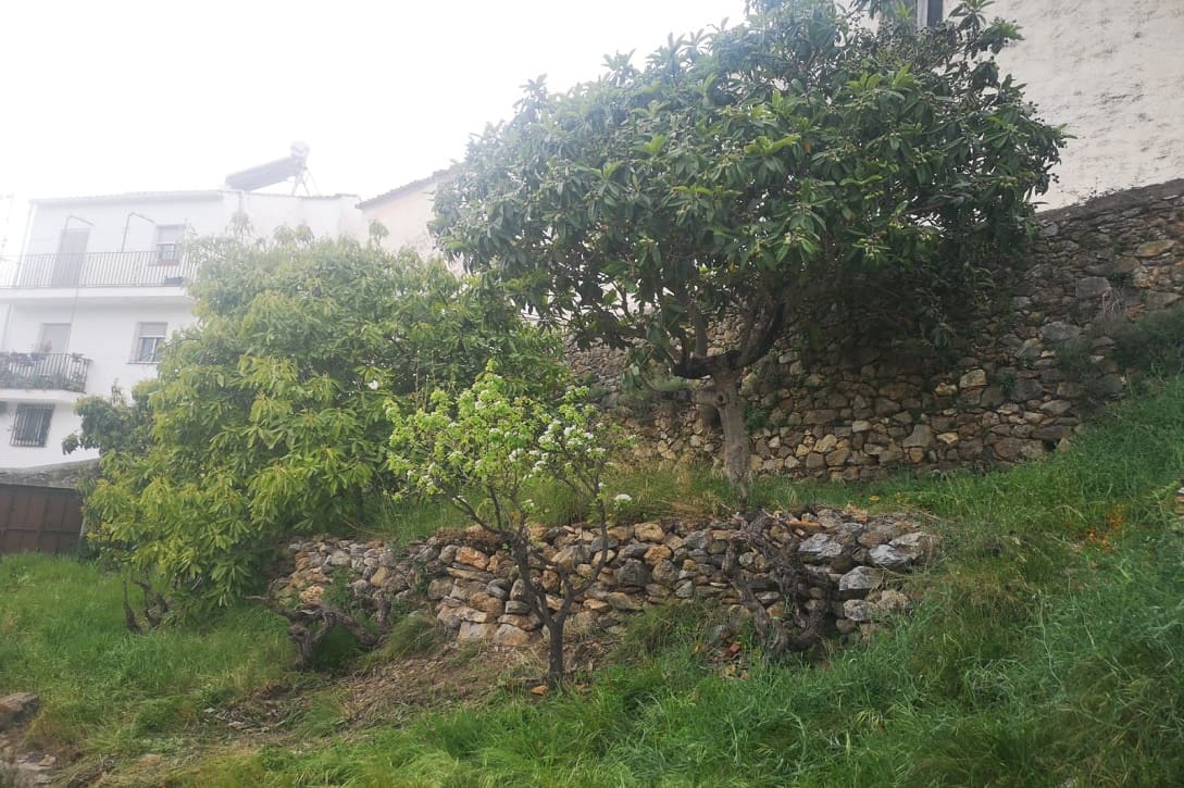 5 bedroom Finca/Country House for sale in Farajan with pool - € 290,000 (Ref: 8489401)