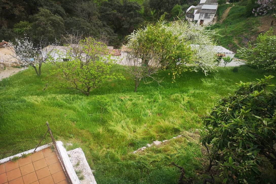 5 bedroom Finca/Country House for sale in Farajan with pool - € 290,000 (Ref: 8489401)