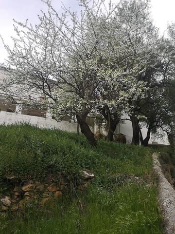 5 makuuhuone Maalaistalo myytävänä paikassa Faraján mukana uima-altaan - 290 000 € (Ref: 8489401)