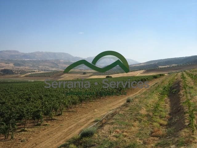 2 sypialnia Biznes na sprzedaż w Ronda - 1 600 000 € (Ref: 8523230)