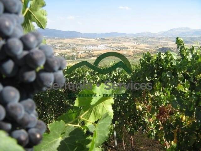 2 sypialnia Biznes na sprzedaż w Ronda - 1 600 000 € (Ref: 8523230)