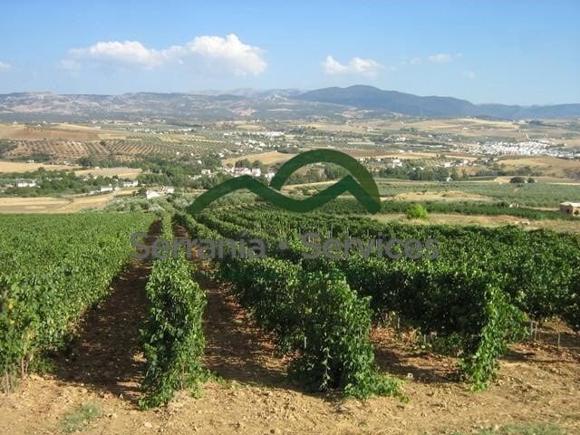 2 sypialnia Biznes na sprzedaż w Ronda - 1 600 000 € (Ref: 8523230)