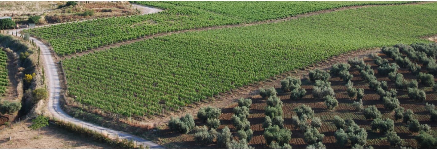 2 sypialnia Biznes na sprzedaż w Ronda - 1 600 000 € (Ref: 8523230)