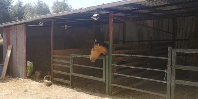 2 soveværelse Finca/Landehus til salg i Gaucín - € 950.000 (Ref: 8592513)