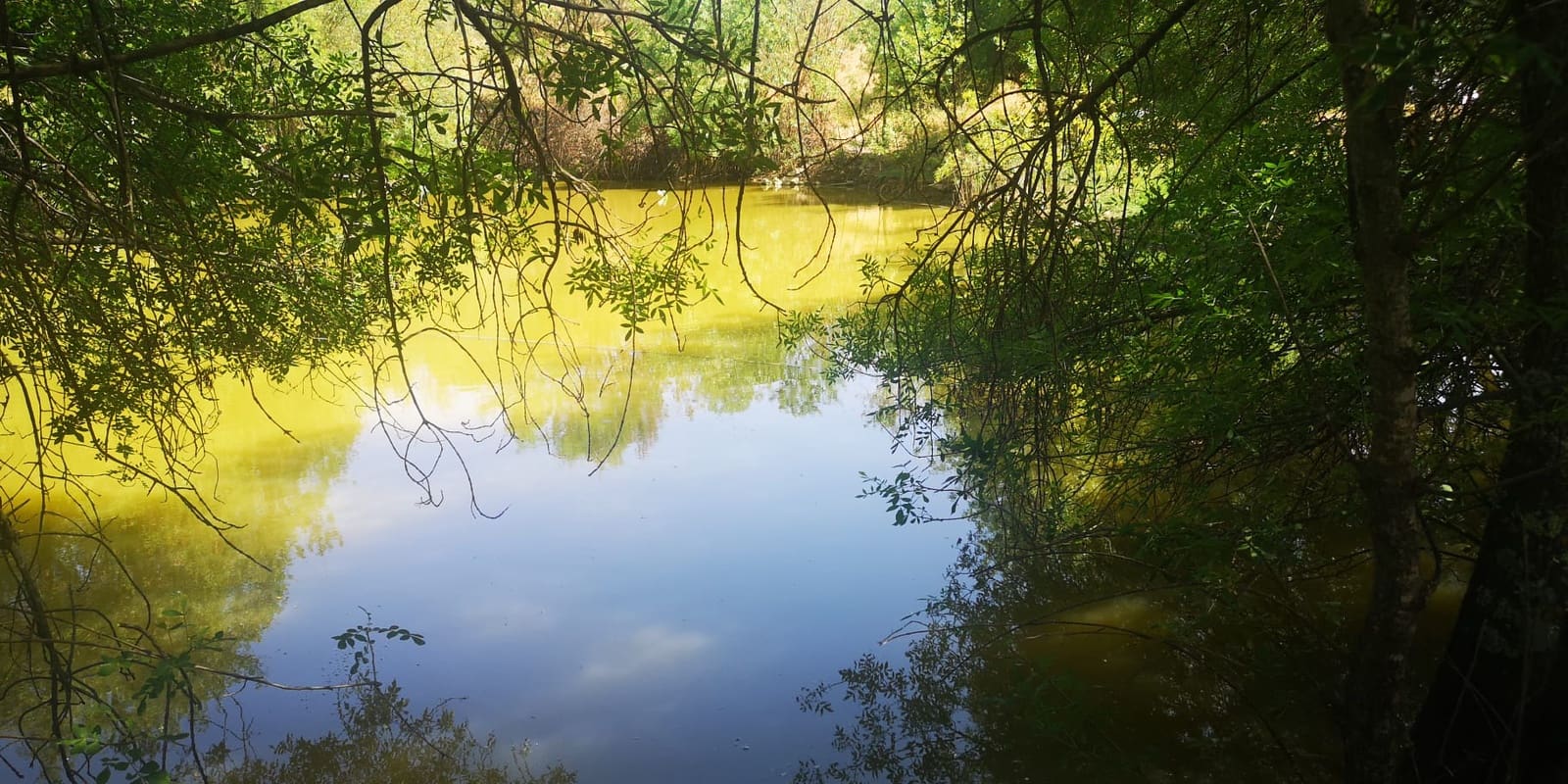 2 soveværelse Finca/Landehus til salg i Gaucin - € 950.000 (Ref: 8592513)