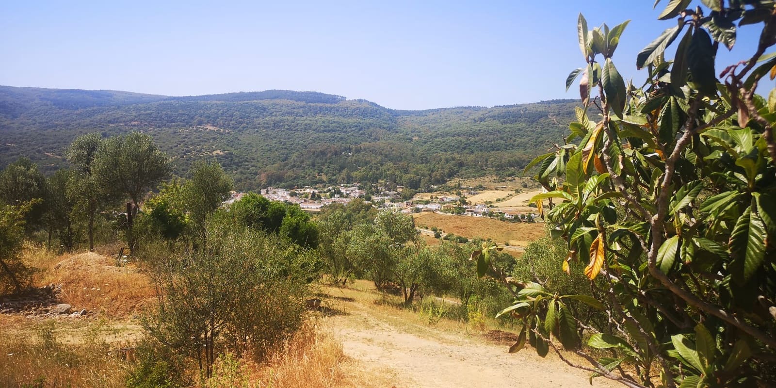 2 soveværelse Finca/Landehus til salg i Gaucin - € 950.000 (Ref: 8592513)