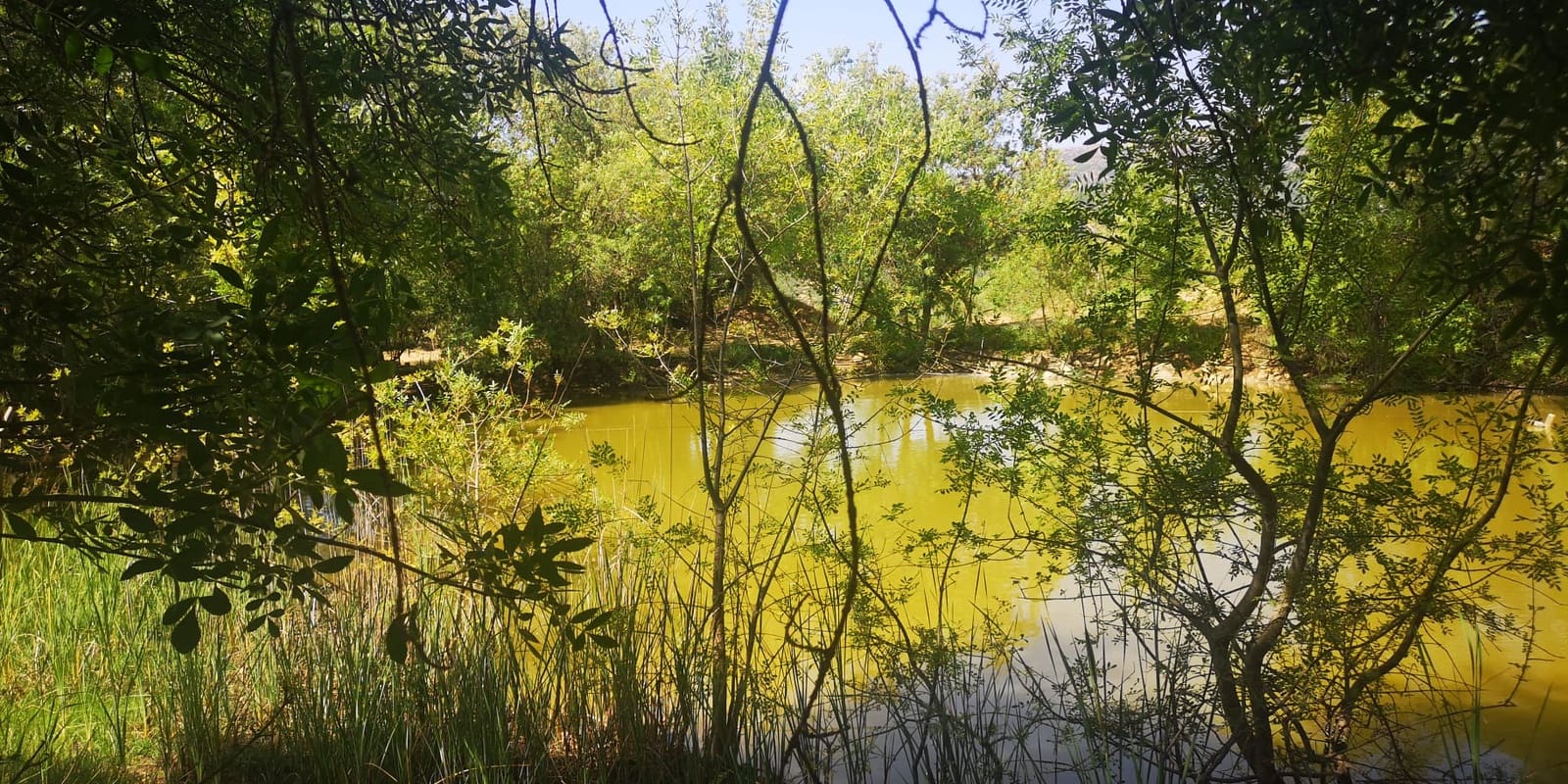 2 soveværelse Finca/Landehus til salg i Gaucin - € 950.000 (Ref: 8592513)