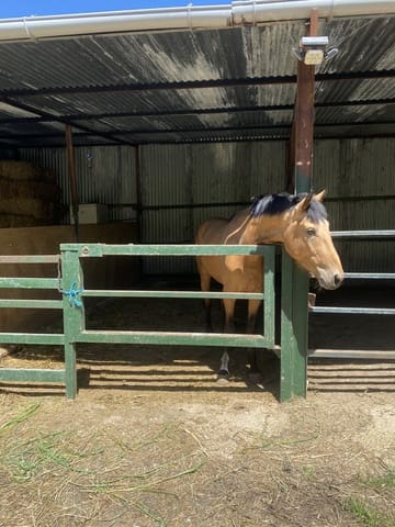 2 soveværelse Finca/Landehus til salg i Gaucín - € 950.000 (Ref: 8592513)