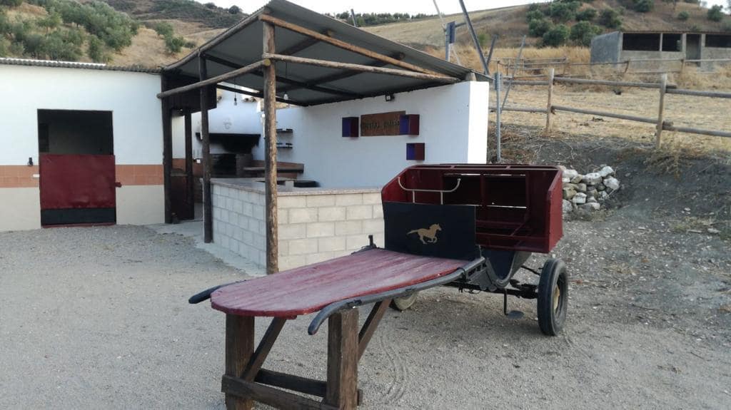 7 bedroom Finca/Country House for sale in Ronda with pool - € 680,000 (Ref: 8600891)