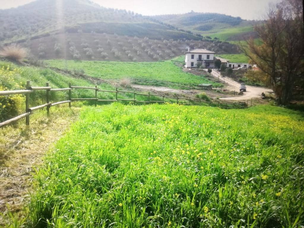 7 bedroom Finca/Country House for sale in Ronda with pool - € 680,000 (Ref: 8600891)