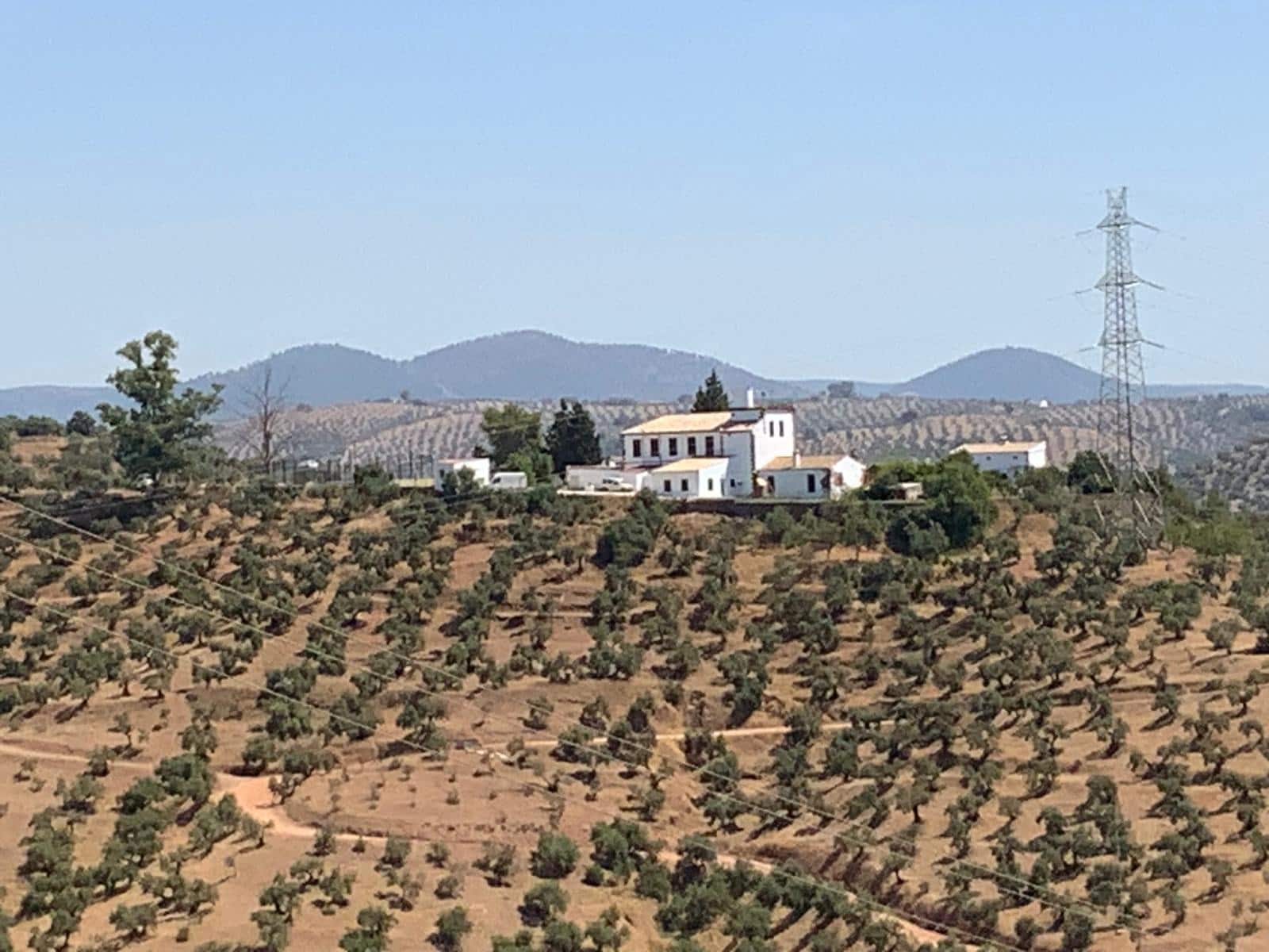 Finca/Landhuis te koop in Montoro - € 997.600 (Ref: 8609970)