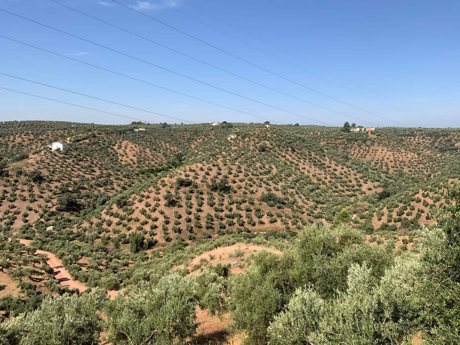 Finca/Landhuis te koop in Montoro - € 997.600 (Ref: 8609970)