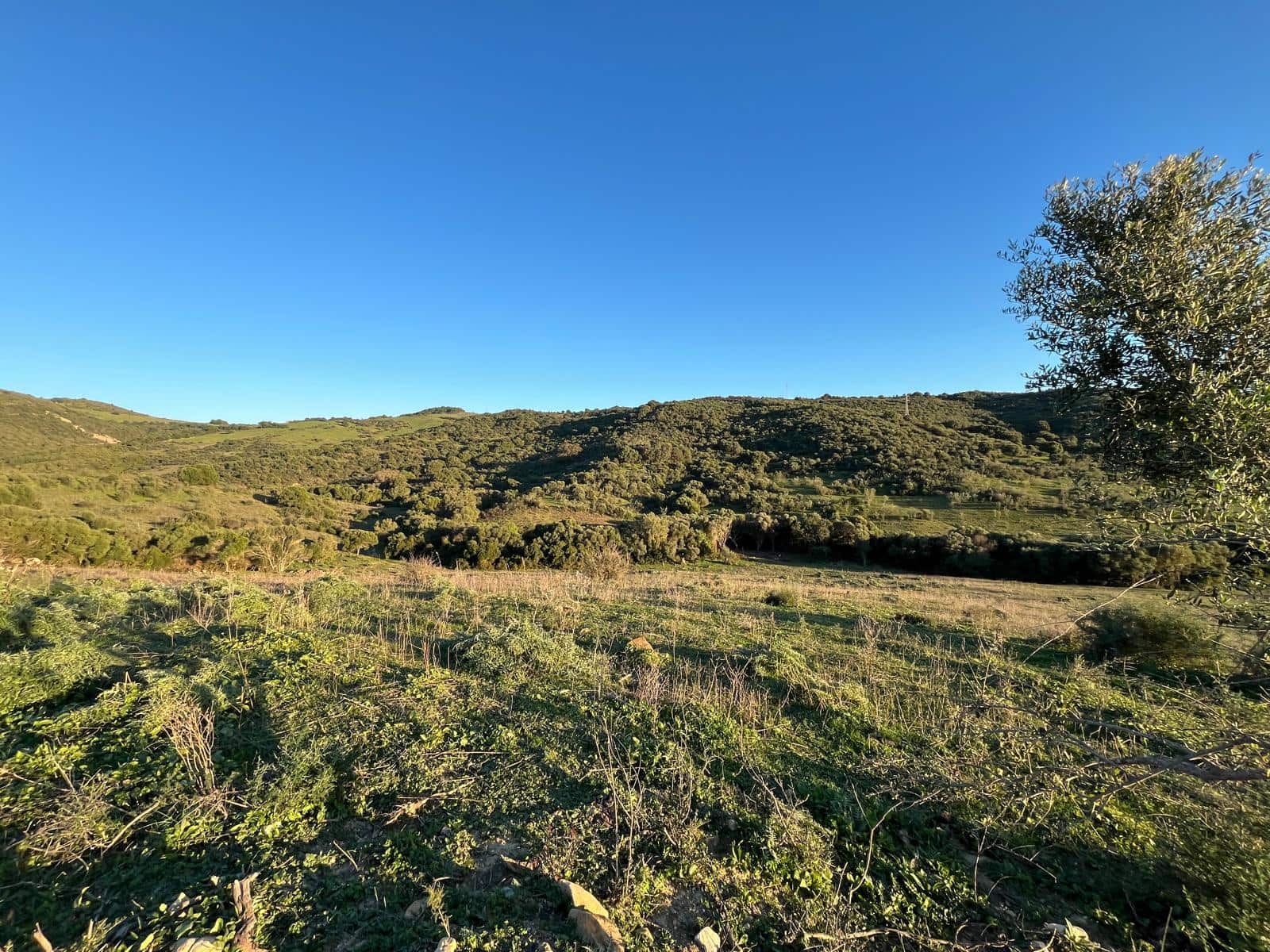 Byggegrund til salg i Gaucin - € 180.000 (Ref: 8751770)