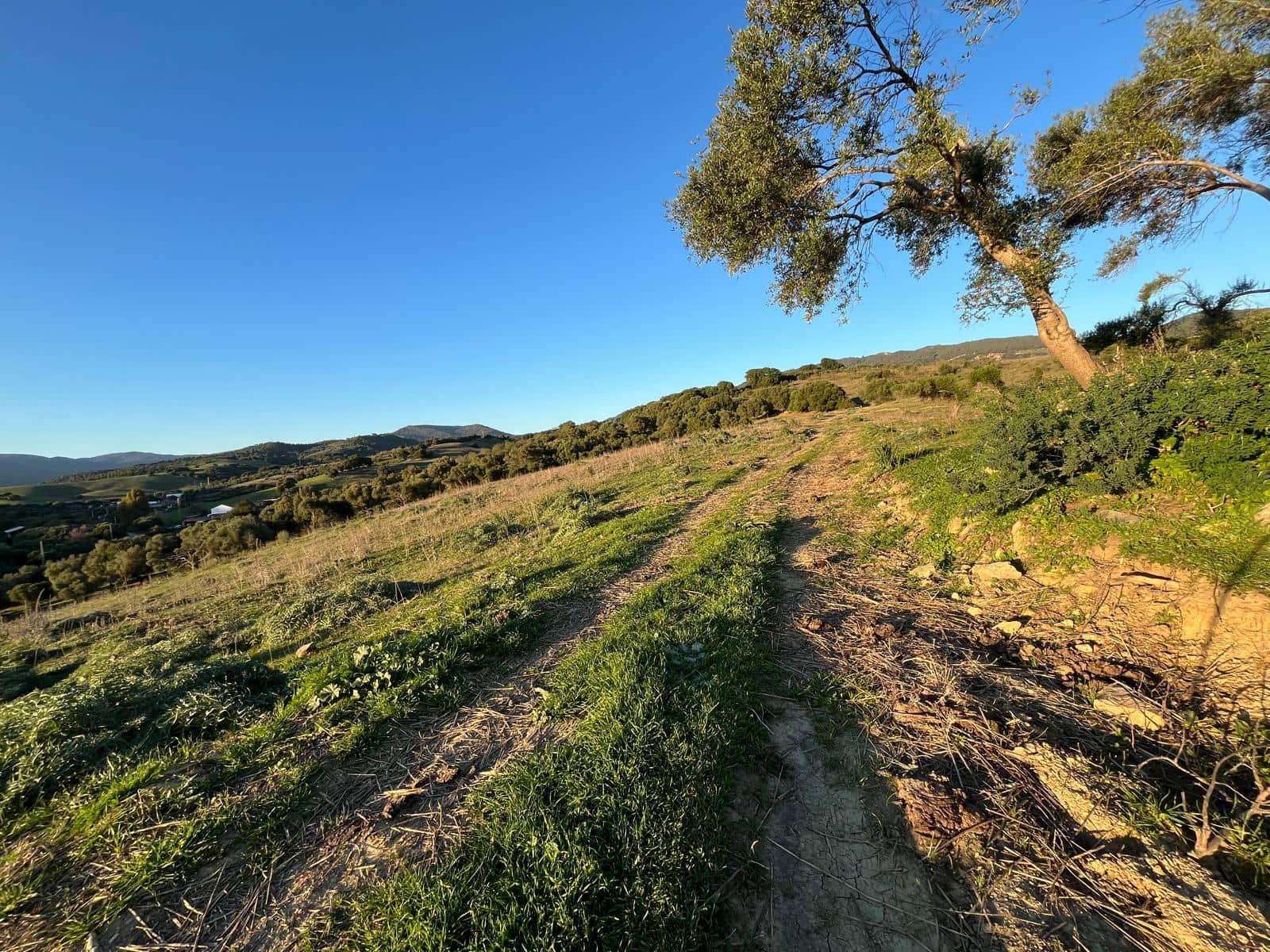 Byggegrund til salg i Gaucin - € 180.000 (Ref: 8751770)